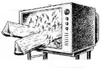 Railway Mushrooms, Solar Sneeze Reflex and the Video Fireplace